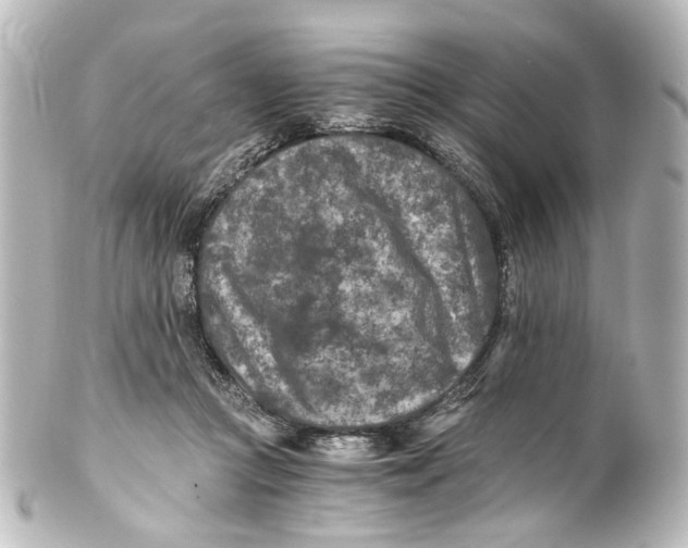 X0000101440361200807281028