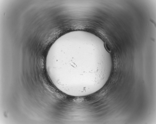 X0000101440362200807281028