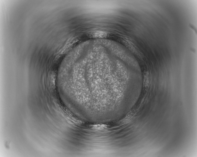 X0000101440363200807281028