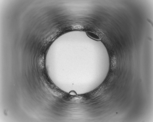 X0000101440364200807281028