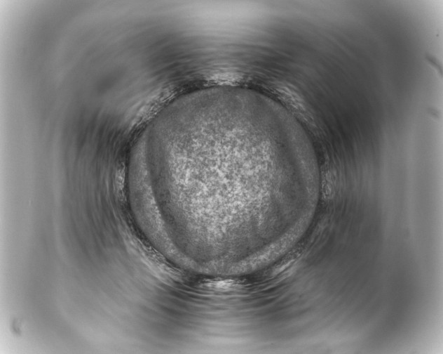 X0000101440365200807281028