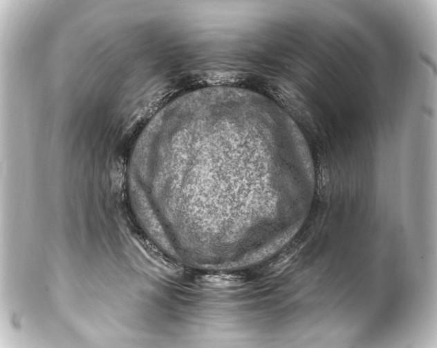 X0000101440367200807281028