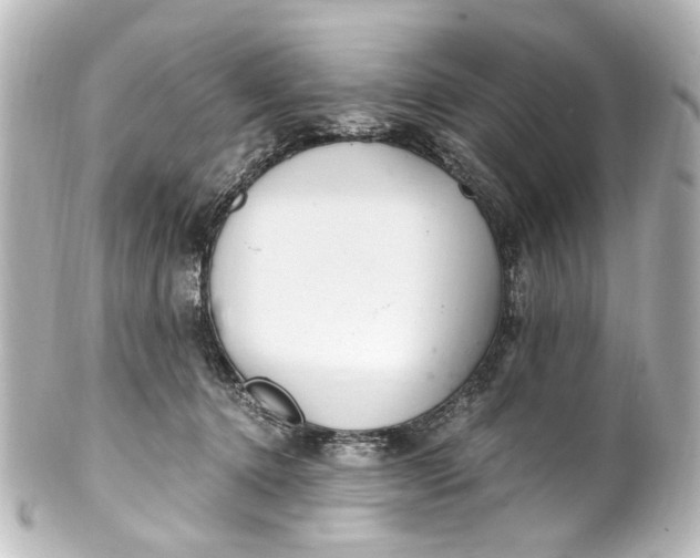 X0000101440368200807281028