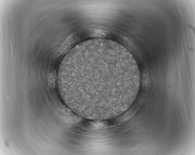 X0000101440370200807281028