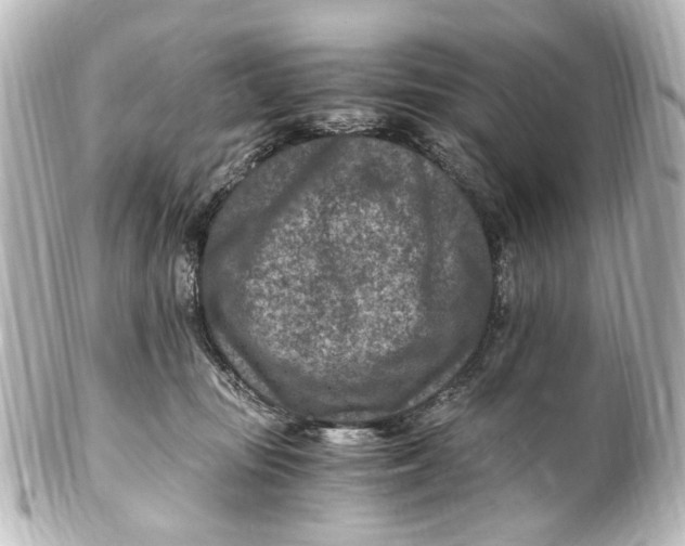 X0000101440371200807281028