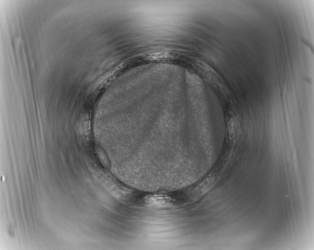 X0000101440372200807281028