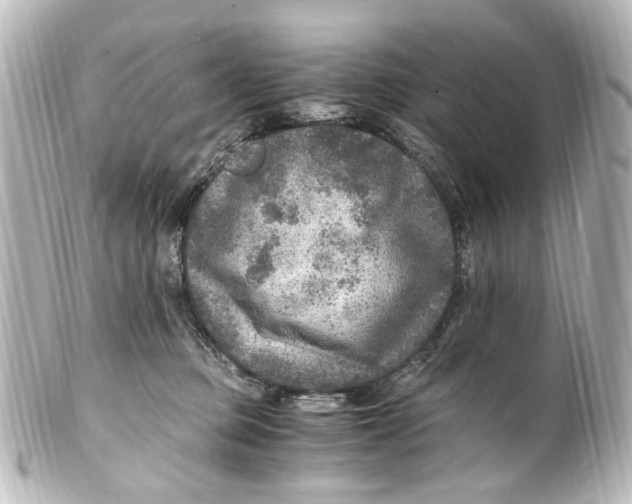 X0000101440373200807281028