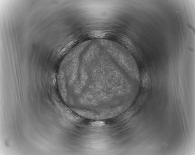 X0000101440374200807281028