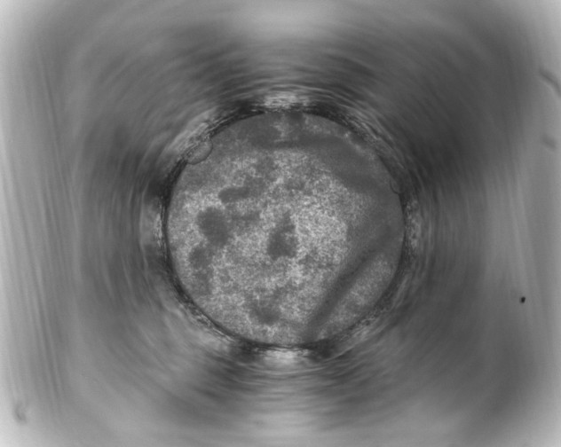 X0000101440375200807281028