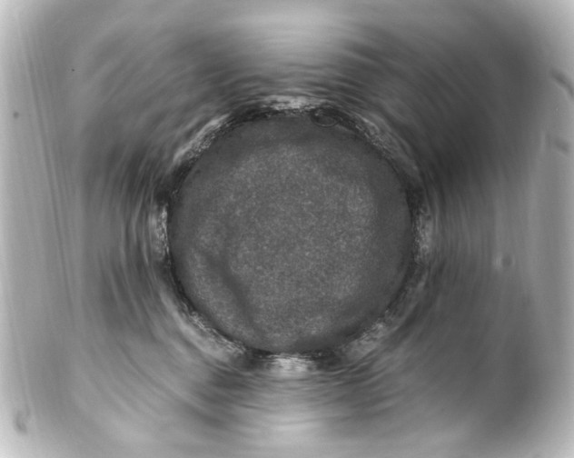 X0000101440376200807281028