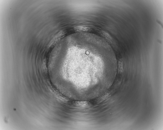 X0000101440377200807281028