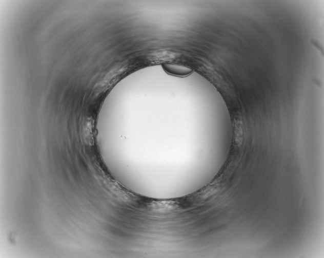 X0000101440378200807281028