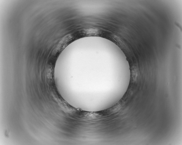 X0000101440379200807281028