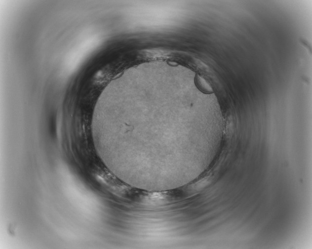 X0000101440382200807281028