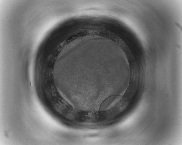 X0000101440383200807281028