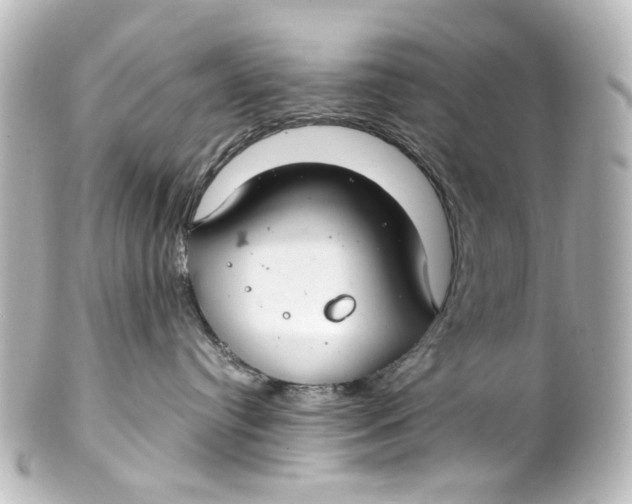 X0000101440384200807281028