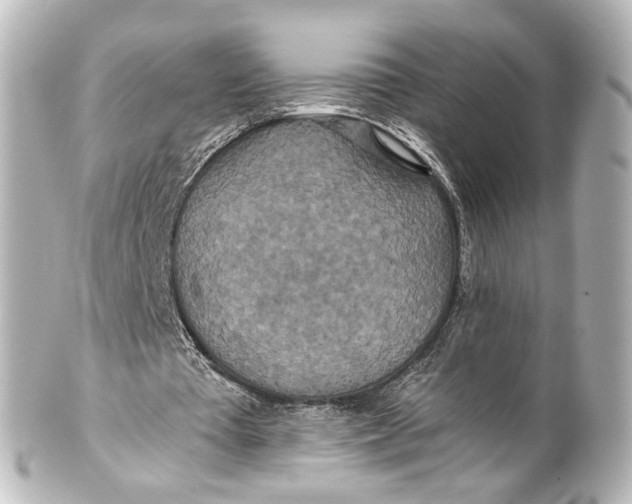 X0000101440385200807281027