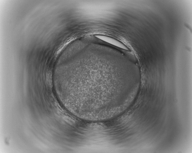 X0000101440386200807281027