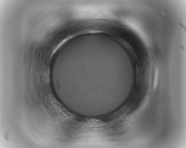 X0000101440387200807281027