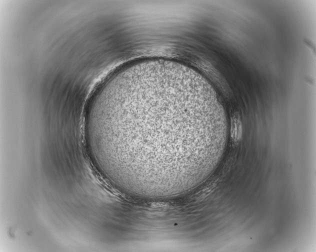 X0000101440388200807281027