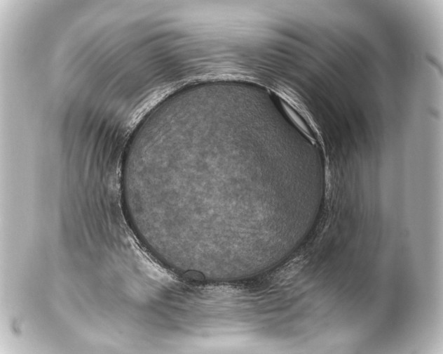 X0000101440389200807281027