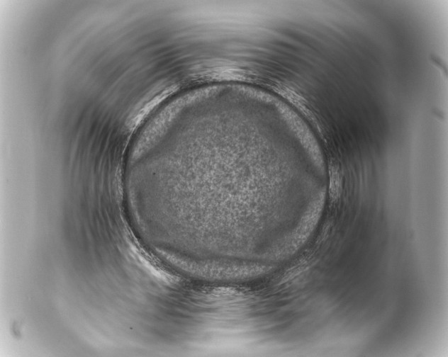 X0000101440390200807281027