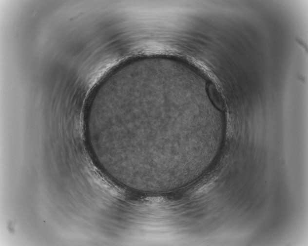 X0000101440391200807281027