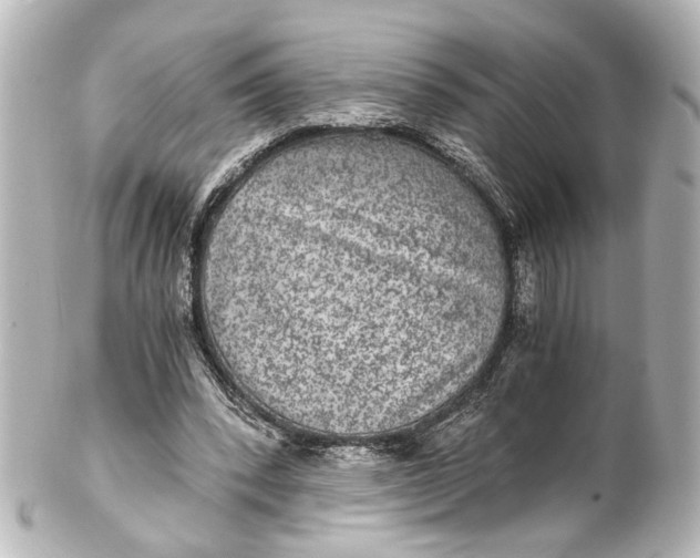 X0000101440392200807281027