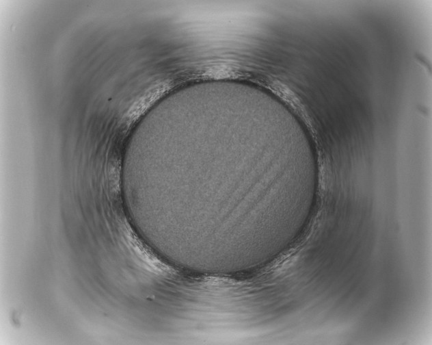 X0000101440393200807281027