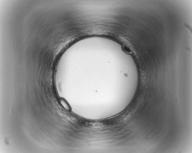 X0000101440395200807281027