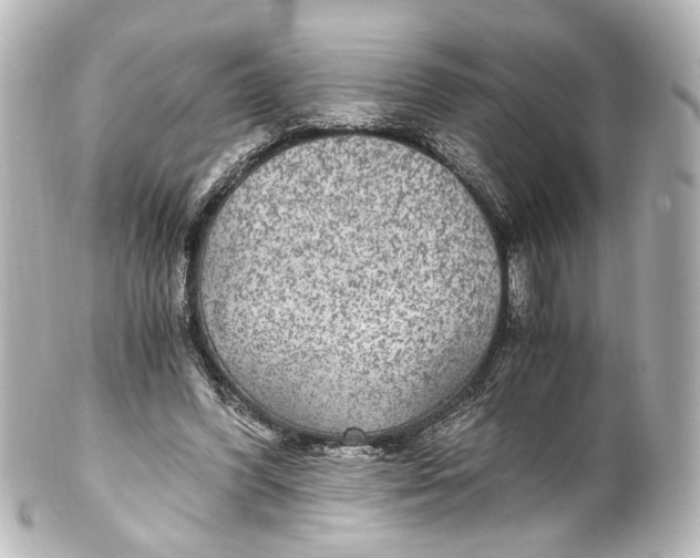 X0000101440396200807281027