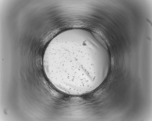 X0000101440397200807281027