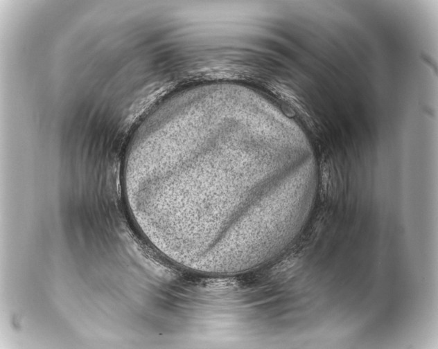 X0000101440398200807281027