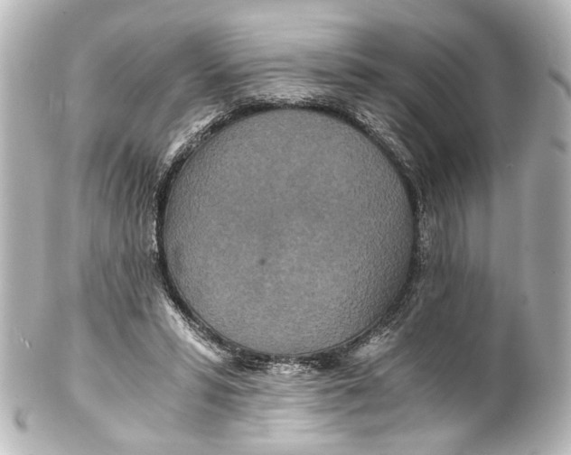 X0000101440399200807281027