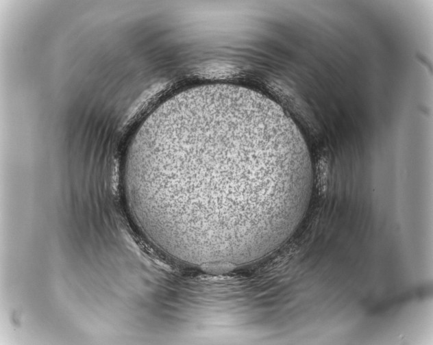 X0000101440400200807281027