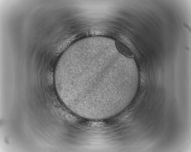 X0000101440401200807281027