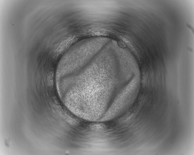 X0000101440402200807281027