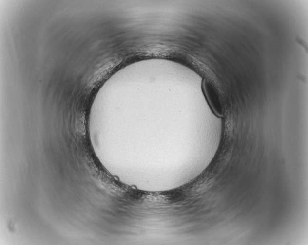 X0000101440403200807281027