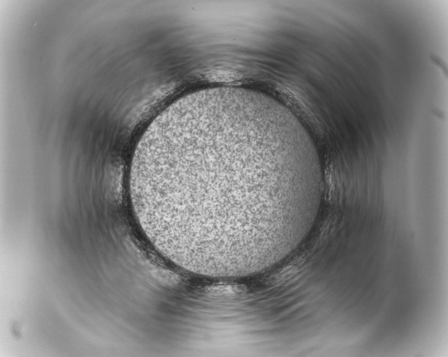 X0000101440404200807281027