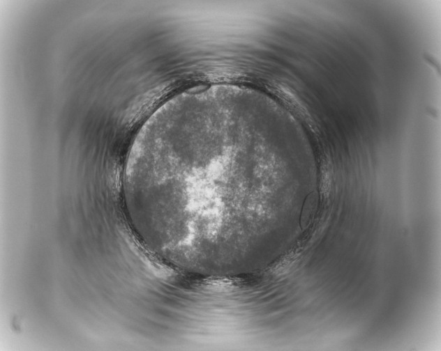 X0000101440405200807281027