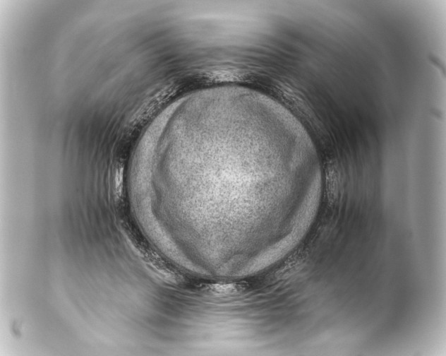 X0000101440406200807281027