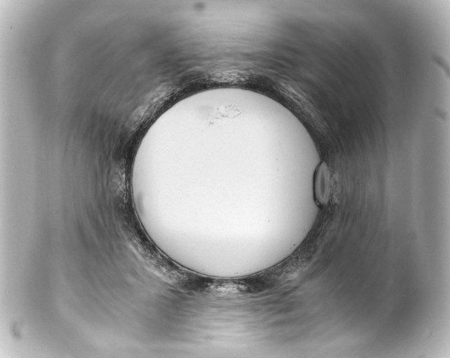 X0000101440407200807281027