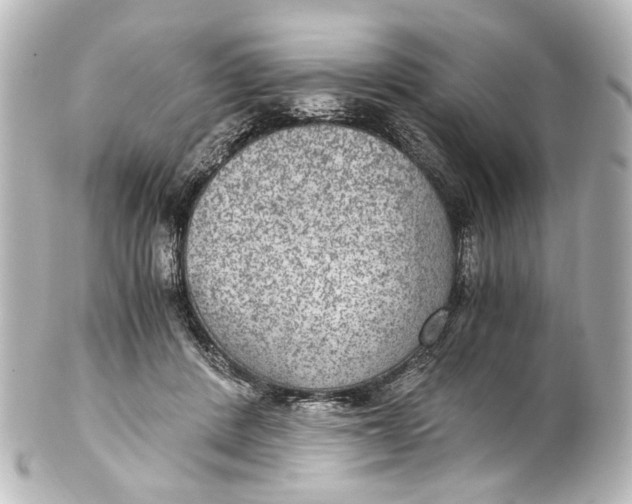 X0000101440408200807281027