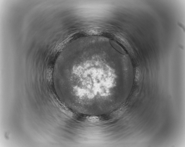 X0000101440409200807281027