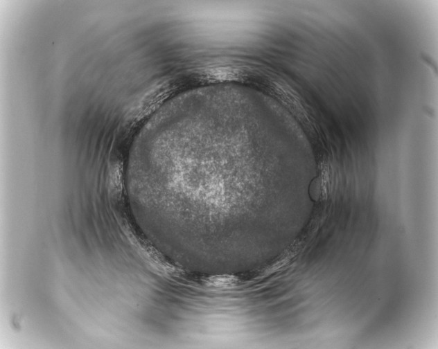 X0000101440410200807281027