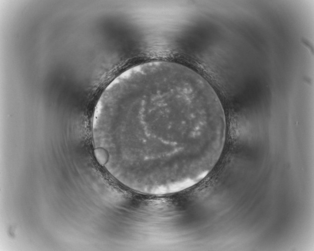 X0000101440411200807281027