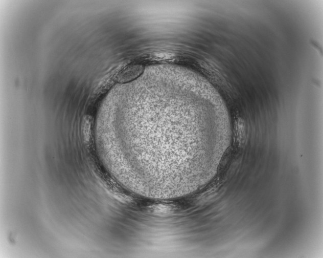 X0000101440412200807281027