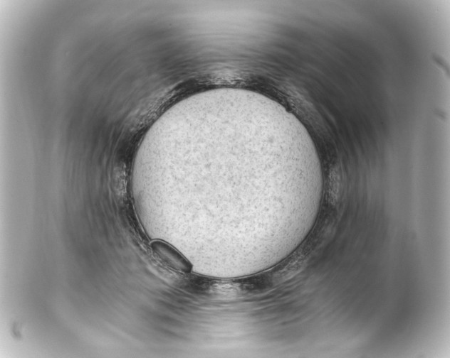 X0000101440413200807281027