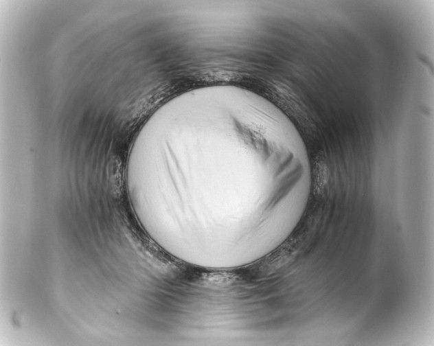 X0000101440414200807281027