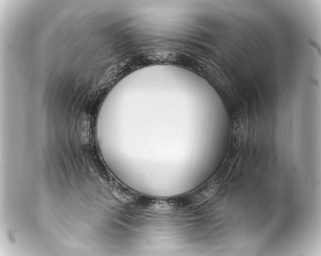 X0000101440416200807281027